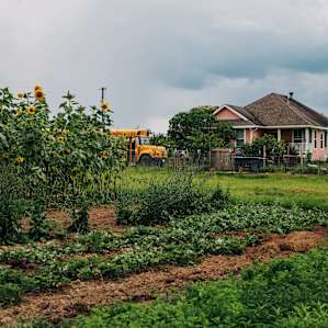 He has an intensive garden set up on his property, which is lovely to explore.