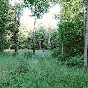 One of the cool campsites out in the back of the property.