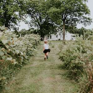 Blackberry Row
