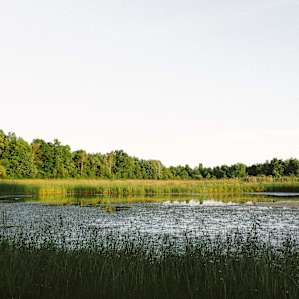 The biggest pond on the property.