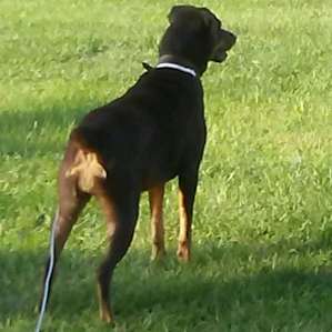 Kaos had fun!