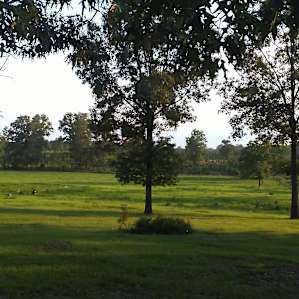 Gorgeous view!