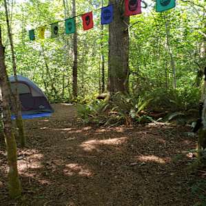 Hemlock, 124 Acre Farm Wetlands