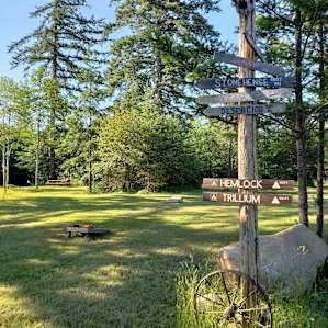 Hemlock, 124 Acre Farm Wetlands