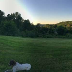 View from the campfire and back yard!