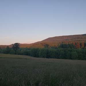 Camp at The Brew Farm!