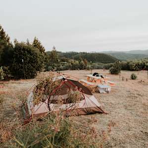Site 2, overlooking vineyard.
