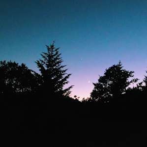 Farmstay - Good Medicine Tipi