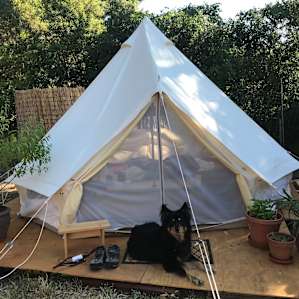 Gracie Lou loved guarding the glamping tent.