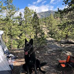 Get Lost at Glen Isle: Tent Sites