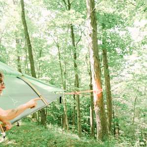 Ever stayed up in the trees?!