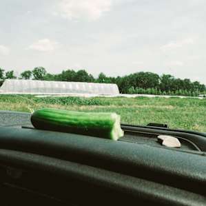 This cucumber came right out of the ground here at Plowbreak farm!