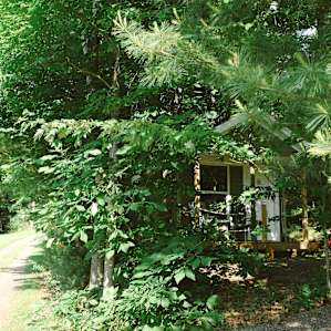 The cabin you'll be renting!