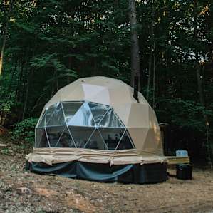 forest lodging dome