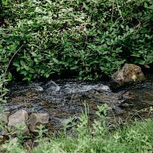 The creek on the property.