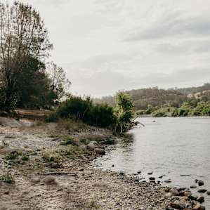 Early morning by the river.