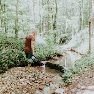The campsites are right along a perfect little creek.