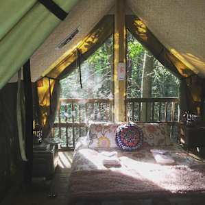 Dreamy