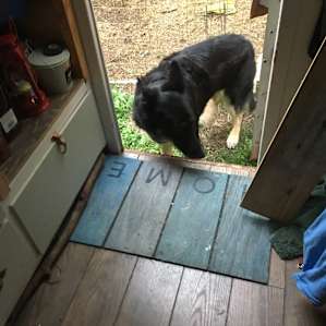Jet popped in to check on our dinner prep. He is such a friendly guy!