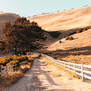 The drive up to the farm