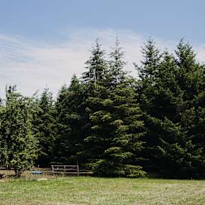 Beautiful property with multiple locations to setup campsites!