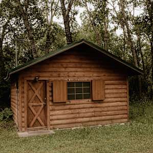 cabin forest lodging
