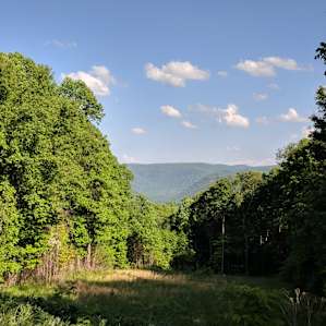 On the road leading to campground. Amazing views.