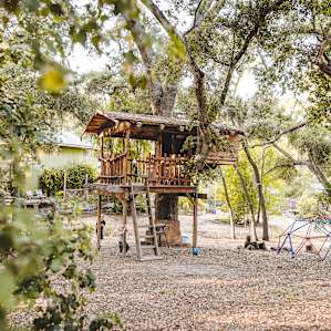 The yard was so private with all of the trees surrounding the space