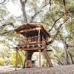 lodging treehouse