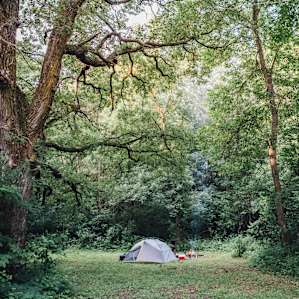 tent forest lodging