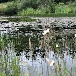 Two Pond Farm