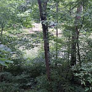 View from the balcony on the cabin.