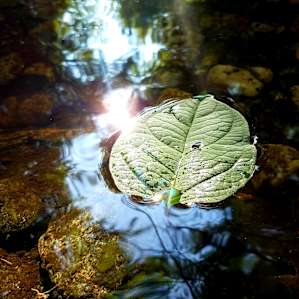 Crystal clear water.