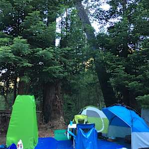 Nice canopy