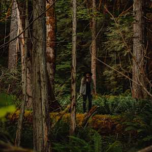 A lush forest surrounds the site.