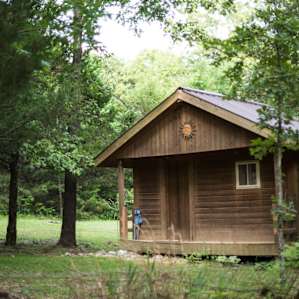 cabin forest hammock