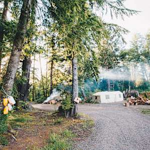 forest