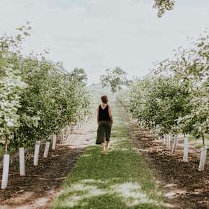 farm