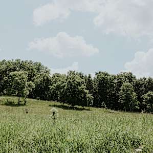 Driftless Area Rolling Hills