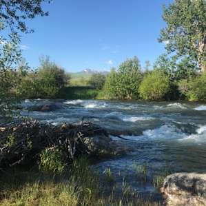Ellison Ranch Camp