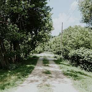 Grateful Farms