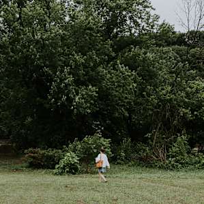 forest