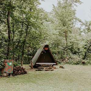 cabin forest lodging