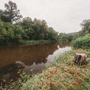 Great place to fish for trout