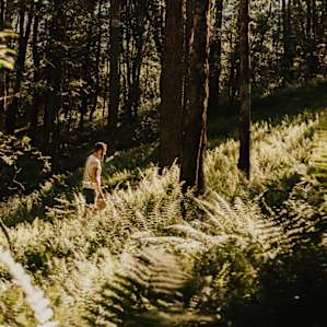 A walk in the ferns.