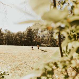 Running around in this massive field was one of Rocco's favorite activities!