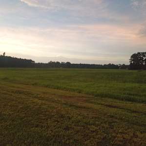 Bright Star Farm