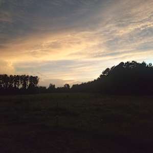 Bright Star Farm