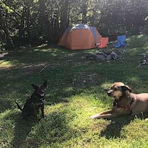 Powder Creek Campsites
