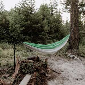 forest hammock activity